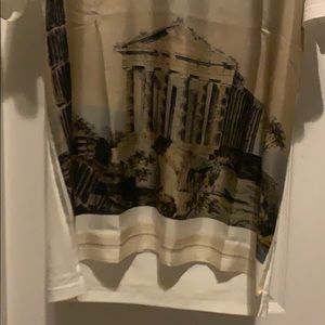 Dolce & Gabbana S/S 14 Parthenon shirt